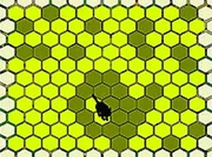 Trap the Cat Online Puzzle Game